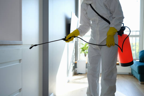 Professional Mold Prevention & Removal  in Mcgehee, AR