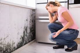 Best Commercial Mold Inspection  in Mcgehee, AR